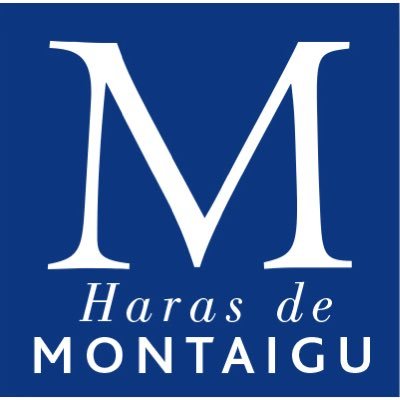 Haras de Montaigu