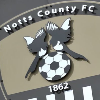 Supporter Liaison Officer, @official_ncfc