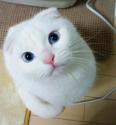 4eb8cbc629254d5's profile picture. 