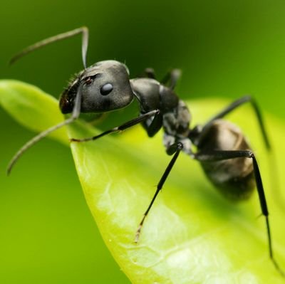 FreZzol's profile picture. Habitant de la terre...