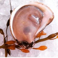 Whalesbone Catering (@whalesbonecater) 's Twitter Profile
