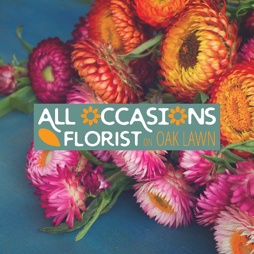 We are your perfect everyday florist located in Dallas, Tx on Oak Lawn! Looking for the perfect arrangement at the perfect price? We have it!
(214) 528-0898