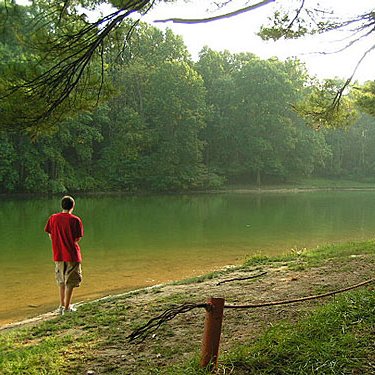 Life, Liberty Road and the Pursuit of Eldersburg