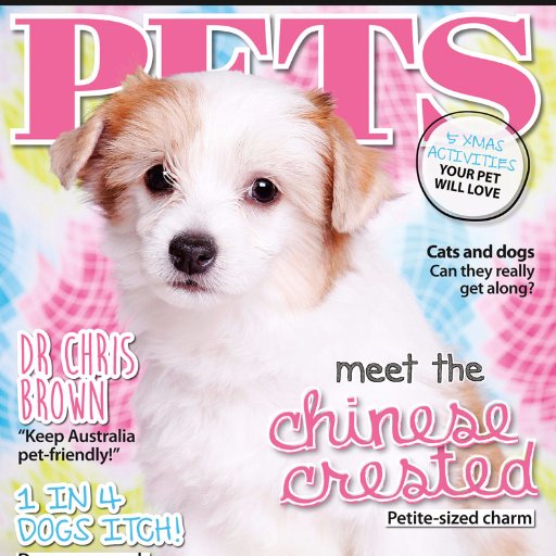 PETS magazine is the number one pet care title in Australia and New Zealand aimed at the family who loves all things animal.
