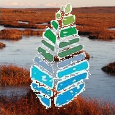 Peatland research news from @ValuingN's Peatland Tipping Points project