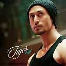 tigersorf's profile picture. 