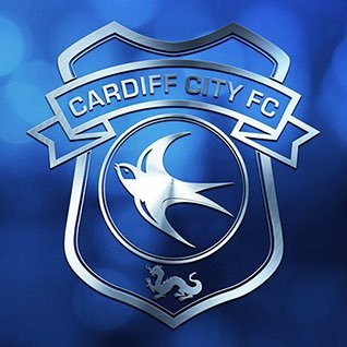 BluebirdsTV, Cardiff City fans channel. 100% unofficial. Views are our own. 24/7 updates on the latest news & stories.