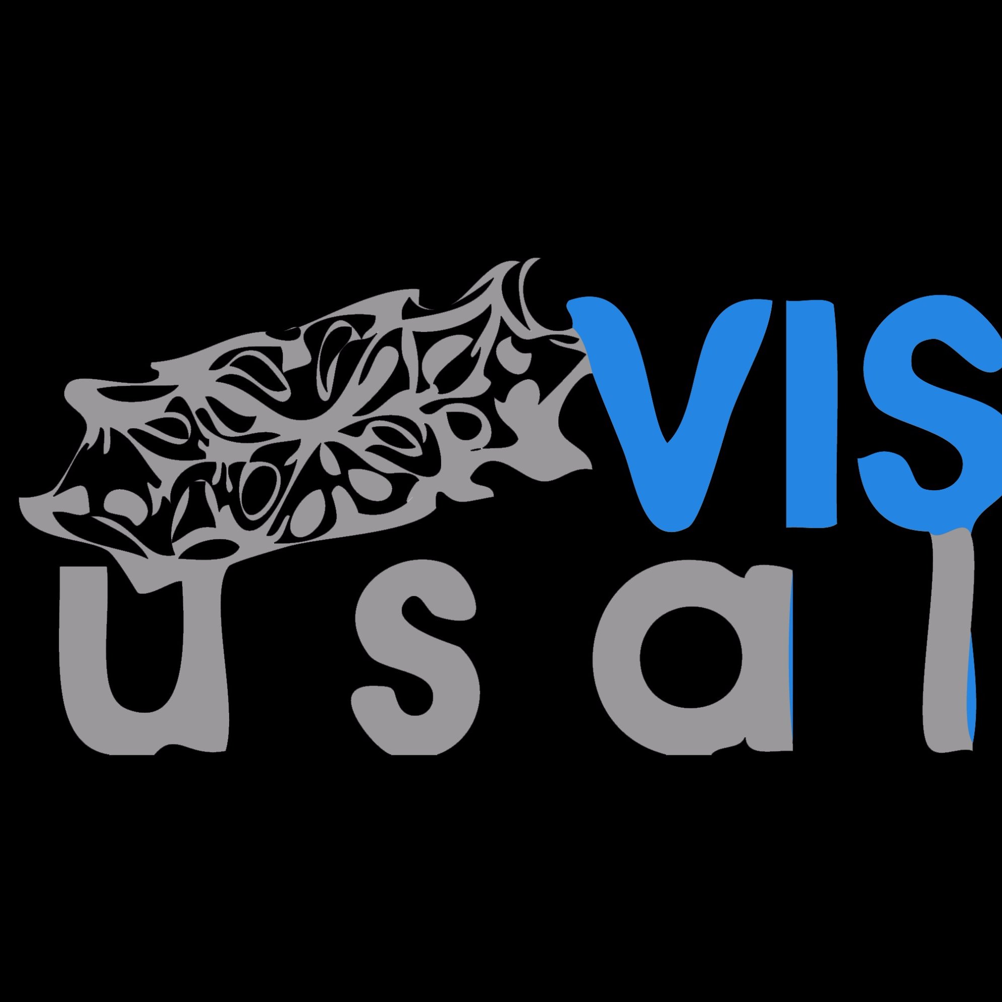 visusal's profile picture. Visual Analytics and Information Visualization (Univ. de Salamanca) Development of advanced tools that help the users to understand complex datasets