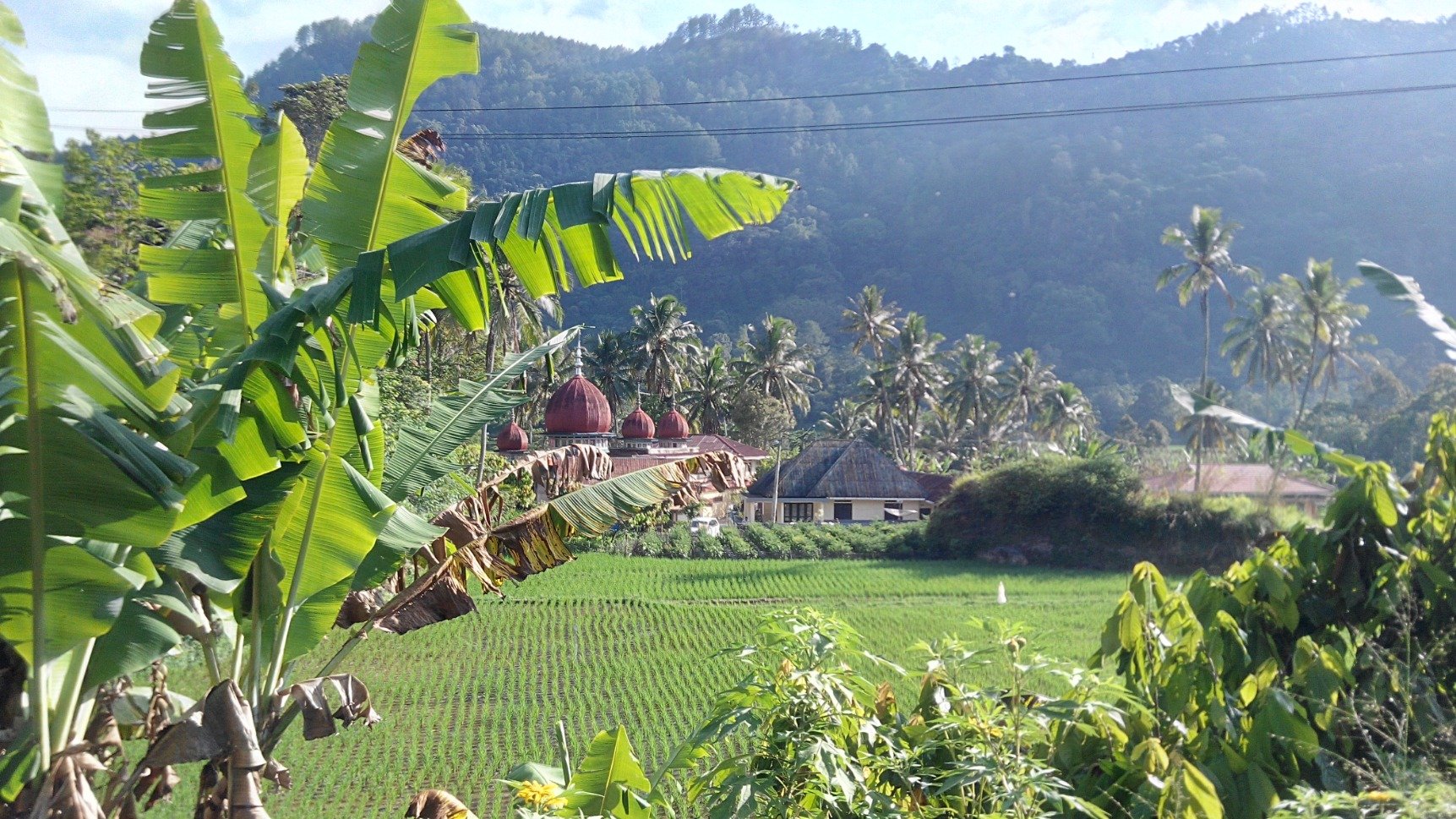 EraFajri's profile picture. Gamis syar'i