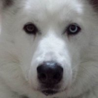 Erin Booth (@erinboothrdc) 's Twitter Profile