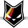 TheBelgianCats's profile picture. The Belgian National Team - Women's basketball