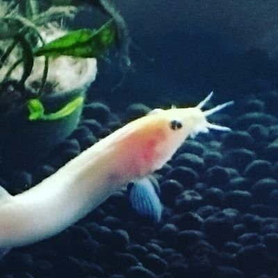 煩わしいものたちとサヨナラして、オモシロ楽しく生きていこう。ホントに小ちゃい保険代理店。泥酔家でしたがお酒要らなくなりました。必要な人にだけ保険を届けたい。けど休みがち。