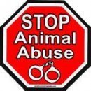 NO_PETS_ABUSE's profile picture. 