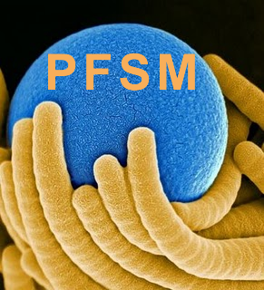 SmartMaterials's profile picture. Huge interest in Functional & Smart Materials. Created a linkedin platform for functional & smart materials