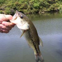 K (@kmcdks_u) Twitter profile photo