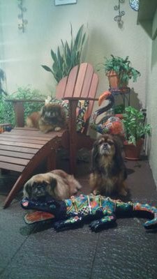 lovetheduke's profile picture. 