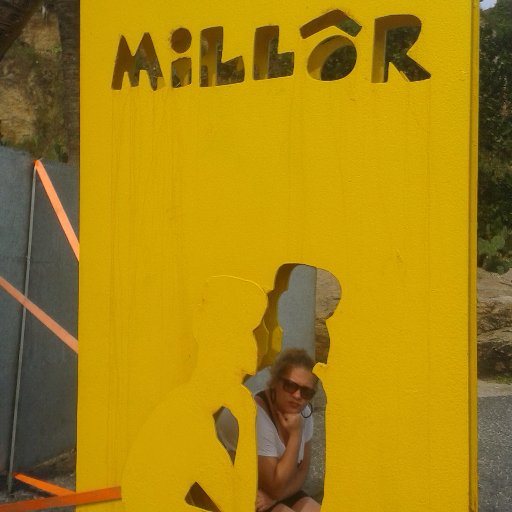 sheilakefi's profile picture. #BolsonaroNuncaMais
Suavidade e alienação 📺  #BBB25
Freela da escrita ✍🏻 📑
Vem de coice 🐴? Vai de block 🚫