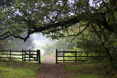 SherwoodTIC's profile picture. Ollerton Tourist Information Centre providing information on local attractions and uk holiday information