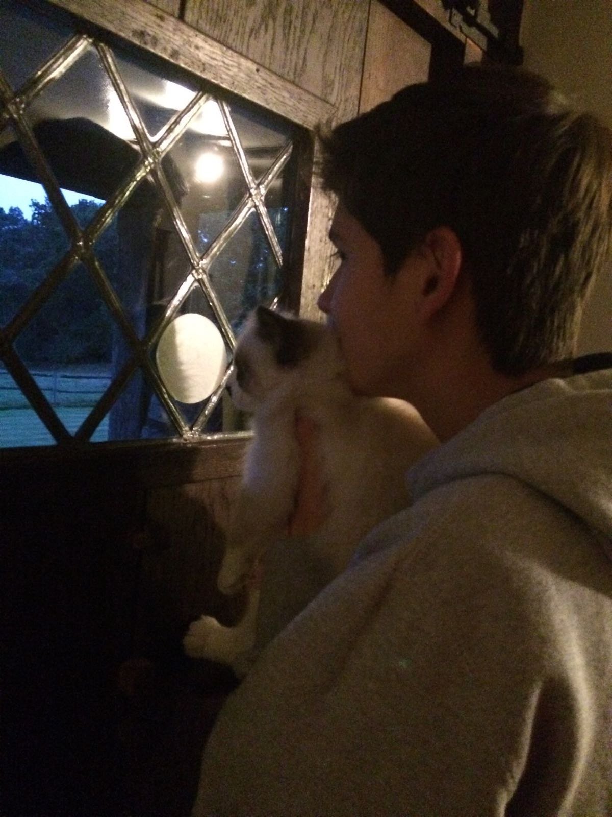 felixgce's profile picture. 