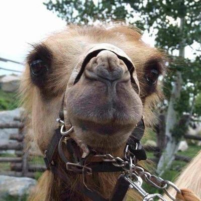 CkonickRed's profile picture. Get laid