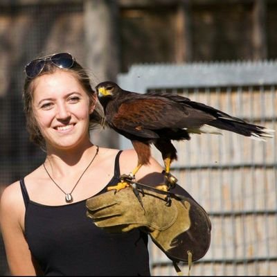 PhD candidate in Conservation Genetics | Interested in Wildlife forensics