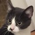 Anastasia Allen (@anastasiacat03) Twitter profile photo Anastasia Allen (@anastasiacat03) Twitter profile photo