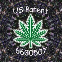 #CannabisCuresCancer(@N3w_Age_Hippi3) 's Twitter Profile Photo