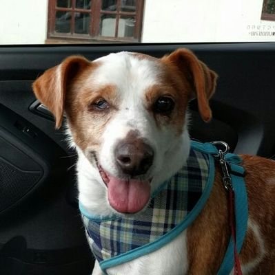 pablodorao's profile picture. 