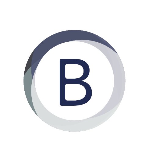 Bitsoft_Verona's profile picture. Solutions and IT consulting