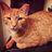 clarkedcat's profile image