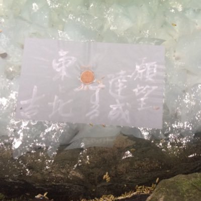 _Rosamultiflora's profile picture. バイクと旅行に興味がある基本訪問しかしないくすりやさん  リツイートばっかり。