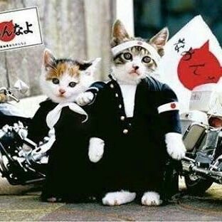 kerochan0501's profile picture. 大阪にいく