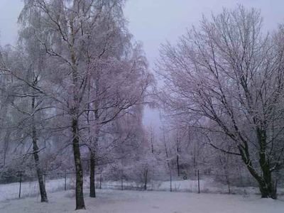 JYsnT6m7LUDn108's profile picture. 