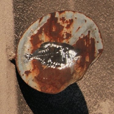 Vlnrblts's profile picture. 