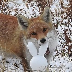 akanezumi1984's profile picture. 通常は月山に暇さえあれば出没。通年雪だるまを作っている。最近ちょっと月山率下がってるか?