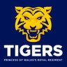 rhqpwrr's profile picture. Official Account of Regimental Secretary of the Princess of Wales's Royal Regiment.  The 'Tigers', recruit mainly from London and the South East #FiercePride