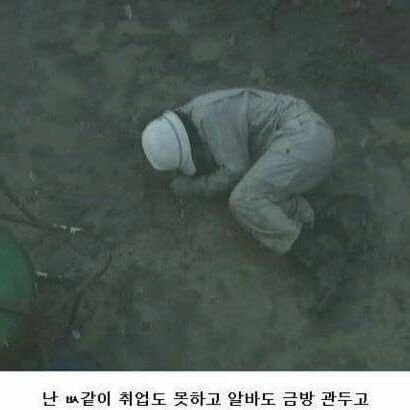 siroing's profile picture. 