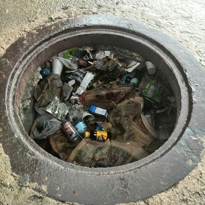 brillanterepdom's profile picture. 