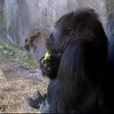 Max Gladstone - @max_aberdeen - Twitter