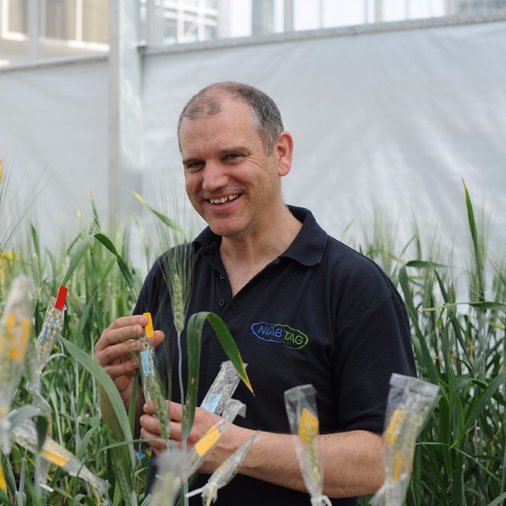 Plant breeder (@niabgroup), proud husband and father. Views own. Plants, science, food, bread, countryside, cricket, adoption, FASD, NHS, Home Ed etc