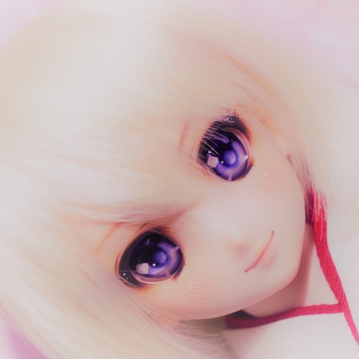 kenken2033's profile picture. カメラ沼に落ちた沼者。最近VTuberにもハマりました。 Nikon/D500/ゲーム/車/元Z33/V37/にじさんじ/ フォローリムーブご自由にどうぞ～