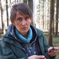 Ivika Ostonen (@ivikaostonen) 's Twitter Profile
