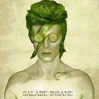 Le Marquis de Salade(@JacquesSalade) 's Twitter Profile Photo