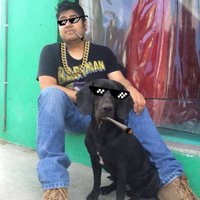 Diego Solano (@dhsolano) 's Twitter Profile