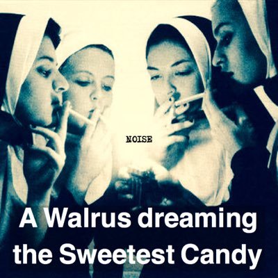 A Walrus dreaming the Sweetest Candy: We are Japanese band. We hate your POPSONG.