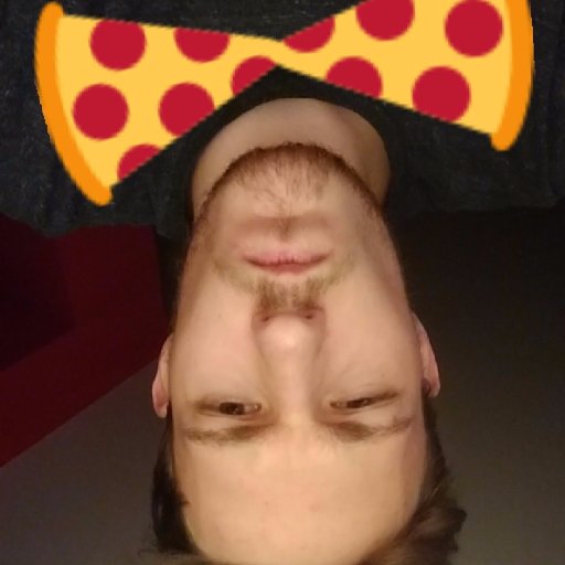 erikaichberger's profile picture. 