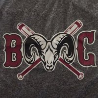 Bristol Central Softball (@_bcsoftball) 's Twitter Profile