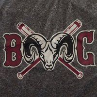 Bristol Central Softball(@_BCSoftball) 's Twitter Profileg