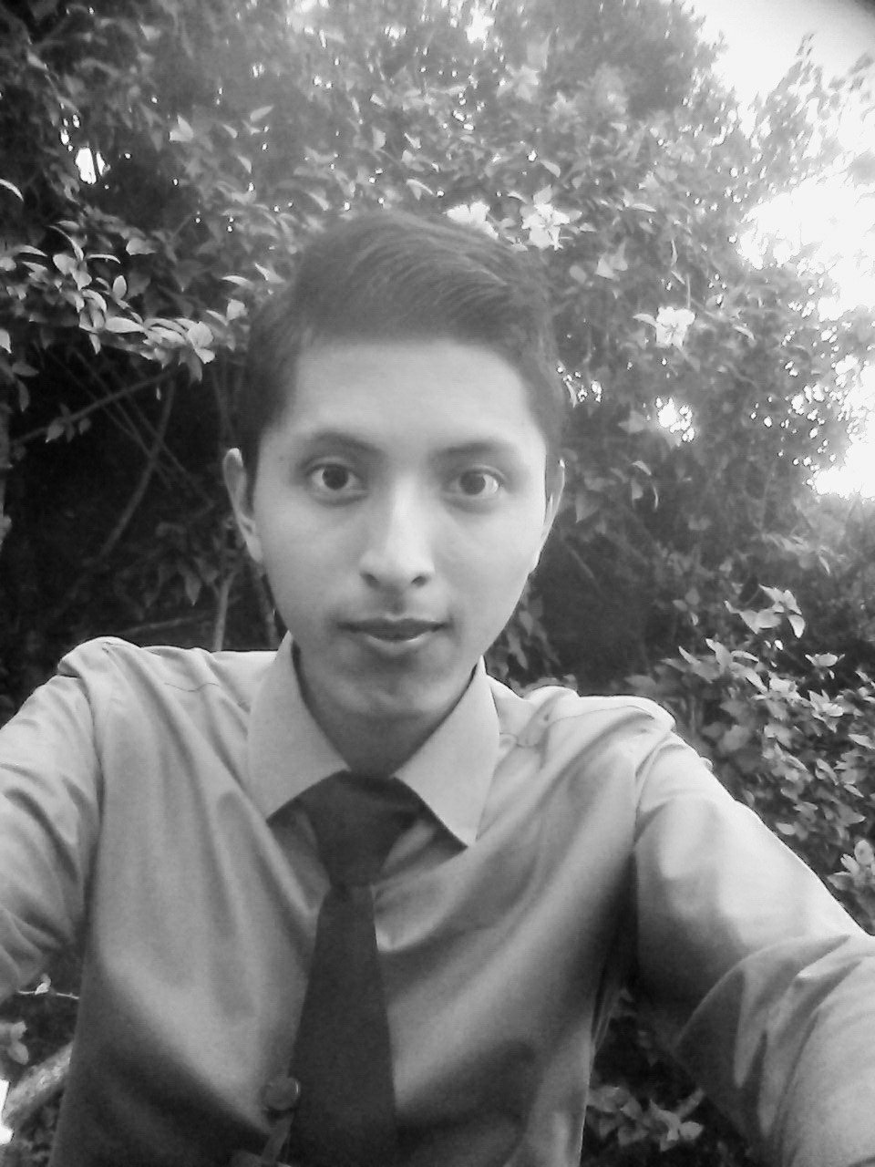 AlbertJW16's profile picture. ♣♦♥♠ Una persona común ♣♦♠♥