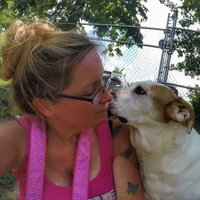 Carey(@PitBullyMommy3) 's Twitter Profile Photo